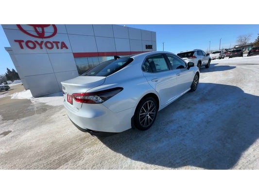 2024 Toyota Camry XLE in Devils Lake, ND - Devils Lake Cars