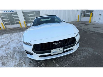 2025 Ford Mustang EcoBoost Premium