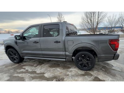 2025 Ford F-150 STX Lobo