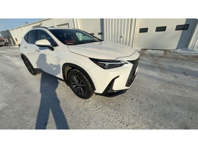 2025 Lexus NX 350 Base