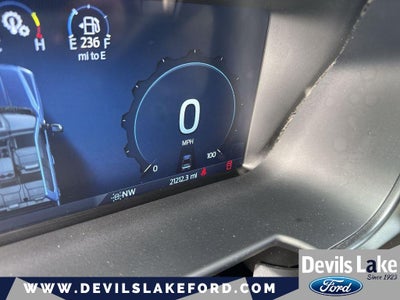 2025 Ford F-350 Platinum