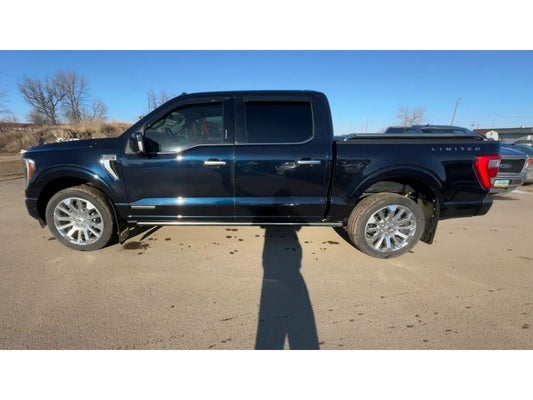 2021 Ford F-150 Limited in Devils Lake, ND - Devils Lake Cars